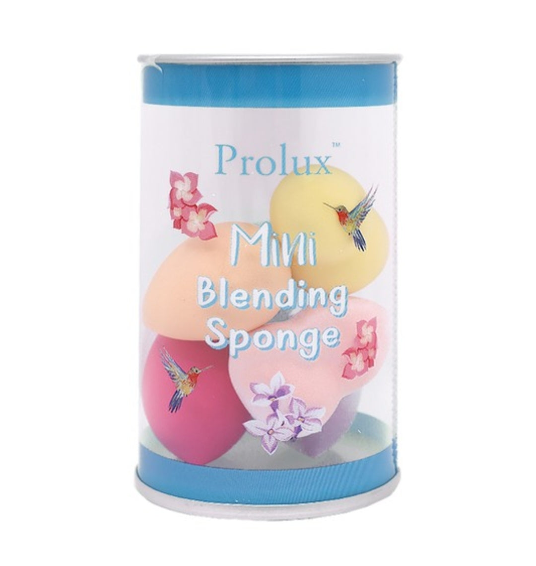 Blending Sponge