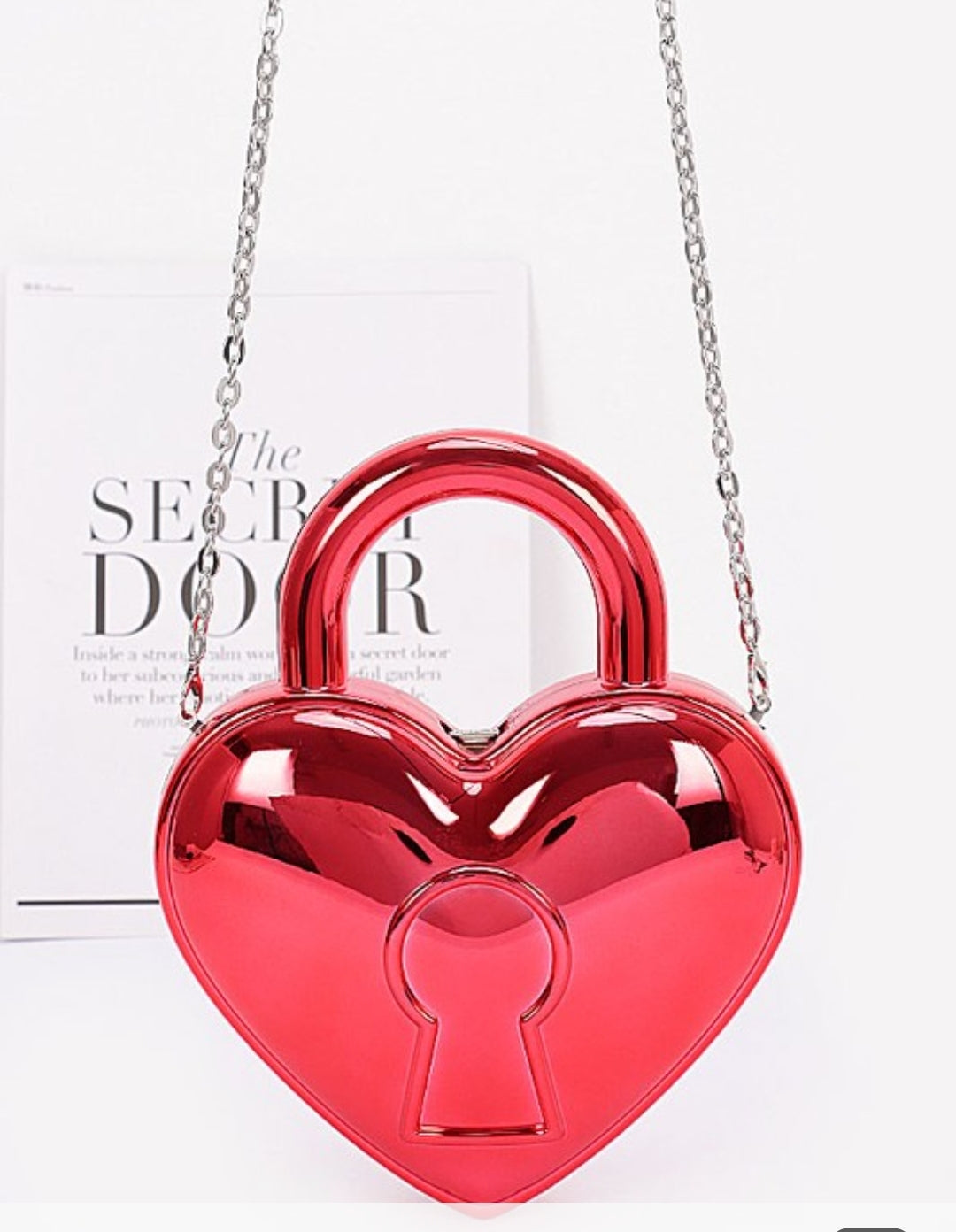 Metallic Acrylic Bag